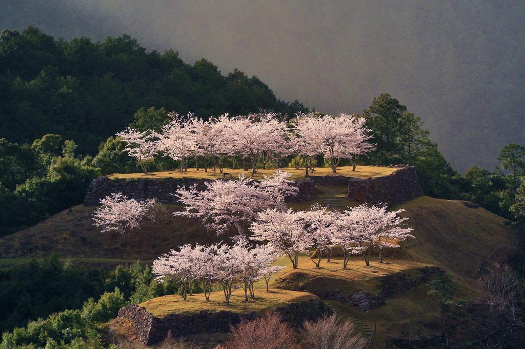 Iruka Onsen Hotel Seiryuusou Kumano Luaran gambar